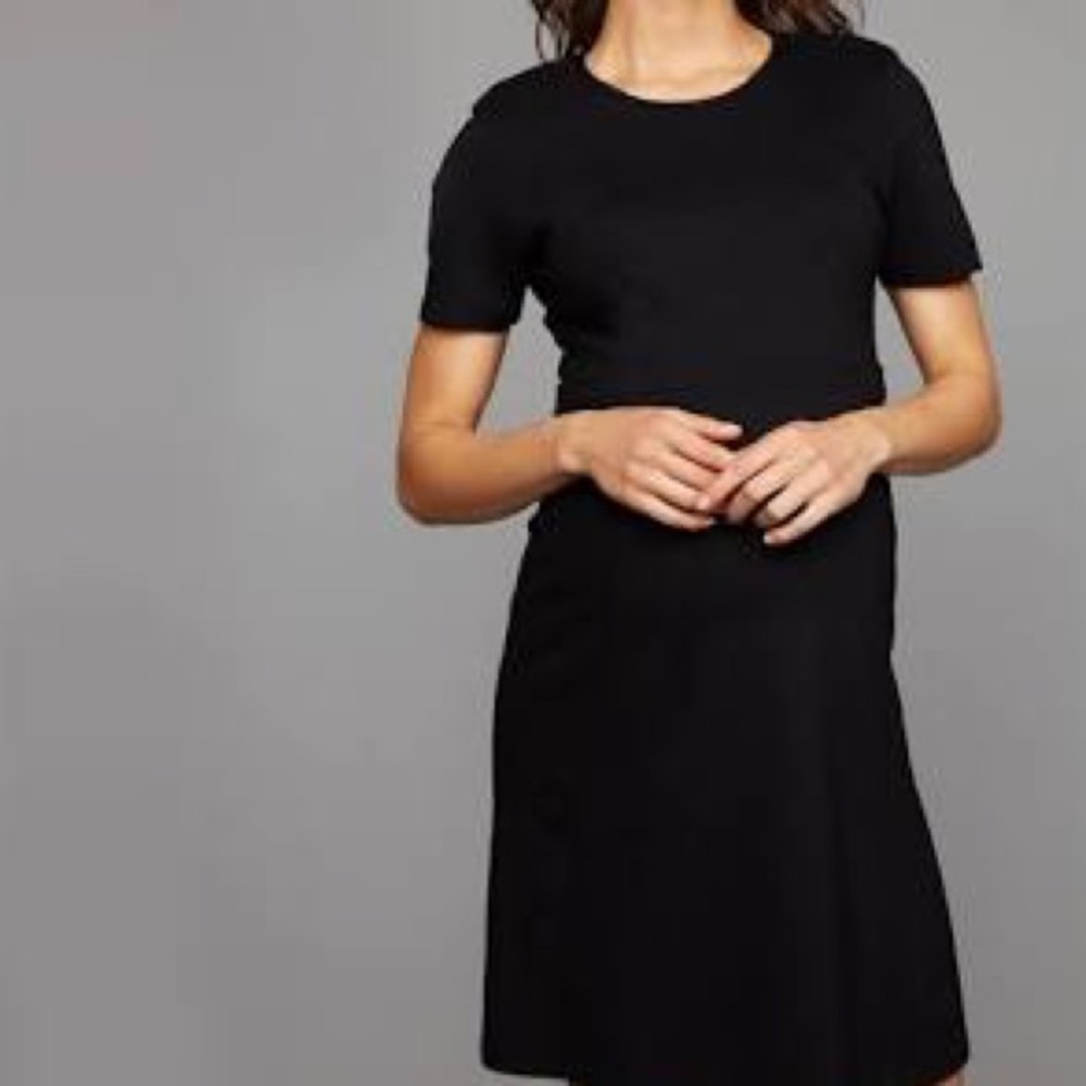 Isabella Oliver Rawlinson Maternity Dress. 3. NWT.